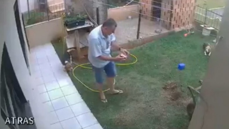 Typ mocno przesadził. W taki sposób chciał się pozbyć kreta z ogródka