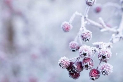 Zbliża się załamanie pogody. Nadchodzi zimne powietrze i śnieg 