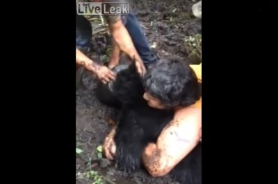 Ratowanie miśka, który utknął mordką w kuble. Musieli się namęczyć 