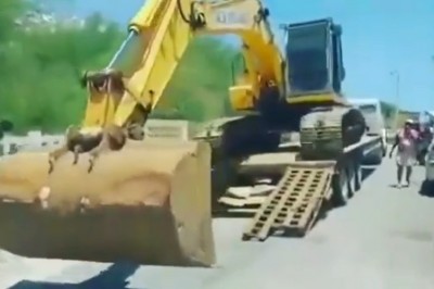 Mietek specjalista od koparek wali popis przed szefem