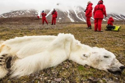 Nasza planeta jest w o wiele słabszej kondycji niż Ci się wydaje. Te zdjęcia są  najlepszym dowodem