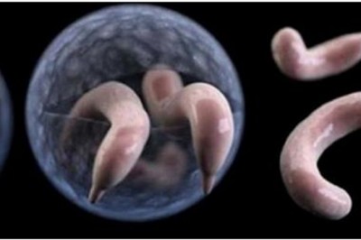 Ta choroba jest nieuleczalna, a z łatwością można się nią zarazić na basenie. Na co trzeba uważać