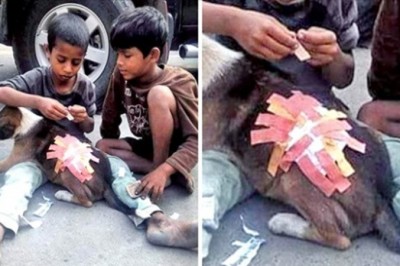 12 zdjęć, które sprawią, że twoje serce zabije szybciej