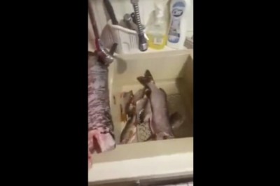 Mąż nagrał wkurzoną żonę po powrocie z ryb. Ostro z nim pojechała