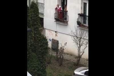 Kiedy musisz wyprowadzić psa, ale jest kwarantanna