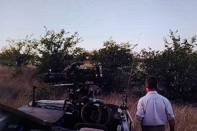 Odwaga czy głupota? Gość, który postanowił podejść za blisko