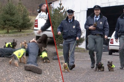 Codzienna porcja ciekawych i zabawnych filmików #85