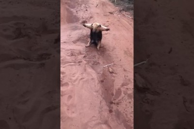 Codzienna porcja ciekawych i zabawnych filmików #108