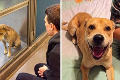 Te zdjęcia stanowią najlepszy dowód, że prawdziwa miłość może odmienić twoje życie