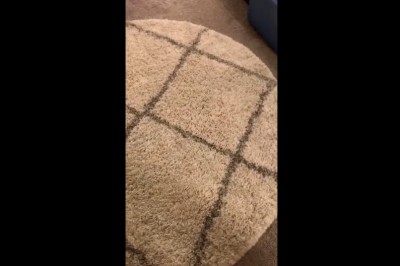 Niespodzianka w dywanie. Tylko dla ludzi o mocnych nerwach 