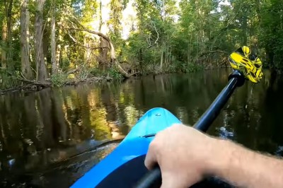 Lubisz spływy kajakowe? Takiego spotkania wolałbyś uniknąć 