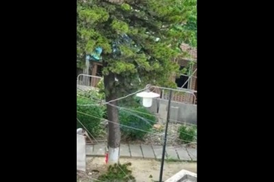 Dźwig kontra drzewo, czyli mistrzowie wycinki w akcji