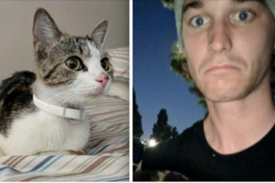 Załamany chłopak przygarnął bezdomną kotkę. Następnego ranka przeżył wstrząs