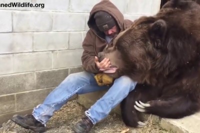 Codzienna porcja ciekawych i zabawnych filmików #182