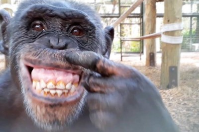 Codzienna porcja ciekawych i zabawnych filmików #185