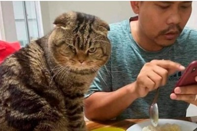 Na zdjęciach pokazała jak straciła męża na rzecz... kota którego on wcale nie chciał 