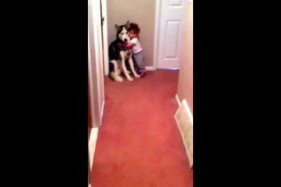 Codzienna porcja ciekawych i zabawnych filmików #203