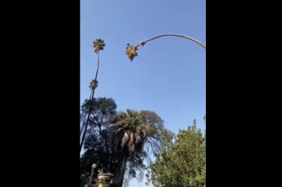 Ciekawy dzień w pracy drwala. Zafundował sobie niezłe atrakcje 