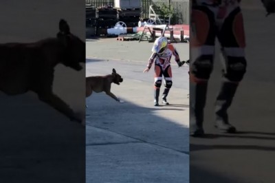 Codzienna porcja ciekawych i zabawnych filmików #212