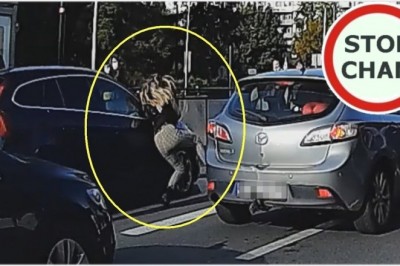 Codzienna porcja ciekawych i zabawnych filmików #217