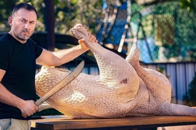 Codzienna porcja ciekawych i zabawnych filmików #224