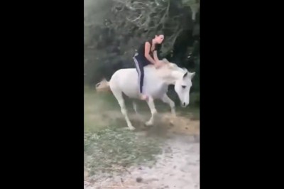 Kiedy jesteś bardzo głodny i lecisz do koryta, ale masz sprawę do załatwienia