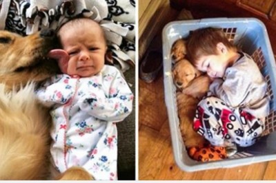 Te zdjęcia udowadniają, że dzieci powinny wychowywać się ze zwierzakiem. To uczy empatii