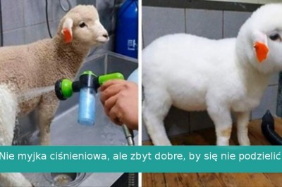 18 rzeczy, które otrzymały nowe życie po dokładnym wyczyszczeniu