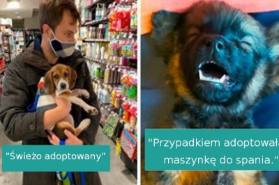 16 uroczych zwierzaków, które znalazły nowy dom. Widać ich radość 