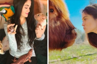 Kobieta przygarnia niechciane zwierzęta do swojego sanktuarium, tworząc im nowy dom