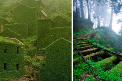 18 sytuacji, w których natura wygrała walkę z cywilizacją i pokazała dominację 