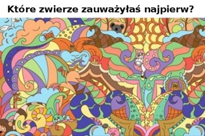 Zwierzę, które zobaczysz pierwsze zdradza typ osobowości. Tak działa podświadomość