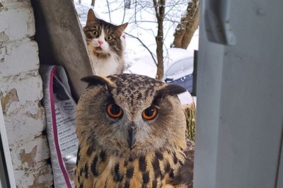 Codzienna porcja ciekawych i zabawnych filmików #314