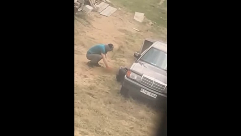 Nagrani podczas wycinania katalizatora na posesji w Starej Hucie