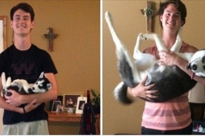 17 zdjęć malutkich i dorosłych zwierzaków, pokazujących jak cenny jest czas