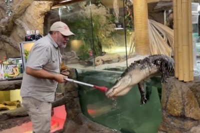 Codzienna porcja ciekawych i zabawnych filmików #323