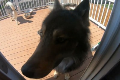 Codzienna porcja ciekawych i zabawnych filmików #325