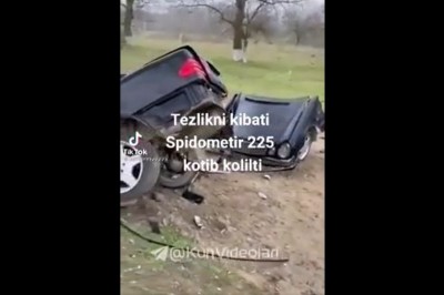 Drzewo kontra Mercedes pędzący 225 km/h
