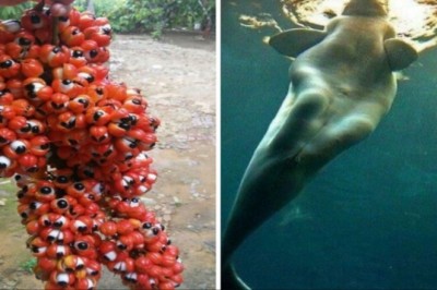 16 niespodziewanie przerażających zdjęć, od których aż ciarki przechodzą