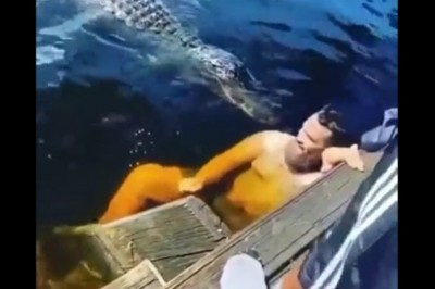 Prawdziwy kozak kontra krokodyle. Postanowił się z nimi wykąpać