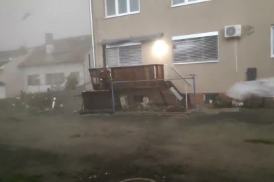 Pies kontra trąba powietrzna w Czechach. Miał sporo szczęścia 