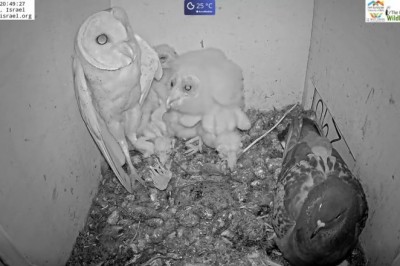 Codzienna porcja ciekawych i zabawnych filmików #349