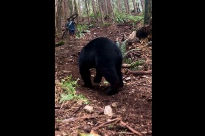 Ziomek mało w majty nie narobił. Nietypowe spotkanie w lesie