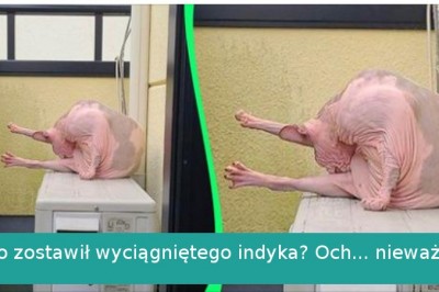 17 zdumiewających zdjęć, które oszukały nasz wzrok