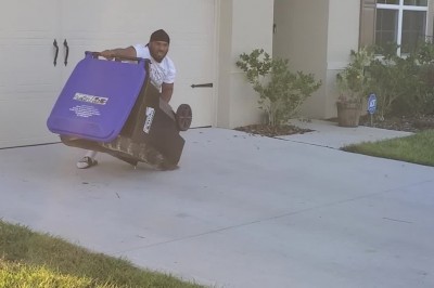 Gość łapie aligatora w śmietnik na własnym podwórku 