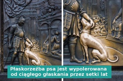 15 zdjęć, które sprawią, że spojrzysz na pewne rzeczy z innej perspektywy