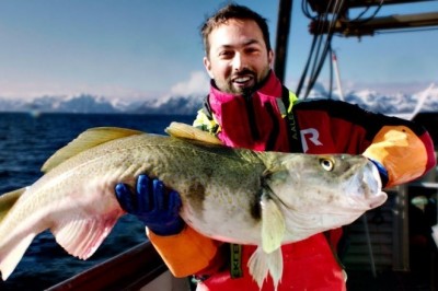 Codzienna porcja ciekawych i zabawnych filmików #381