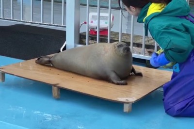 Codzienna porcja ciekawych i zabawnych filmików #382