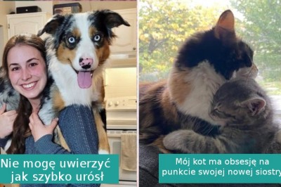 14 zdjęć, z których aż wylewa się słodycz. Te zwierzaki poprawią humor każdemu 