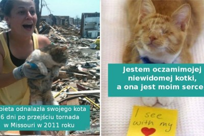 17 zdjęć uroczych kociaków, które są prawdziwymi skarbami dla właścicieli 